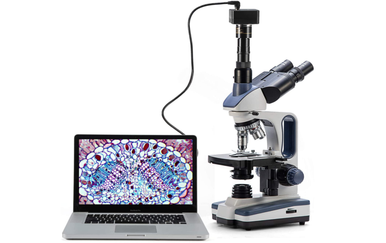 1610577454_MICROSCOPE.png